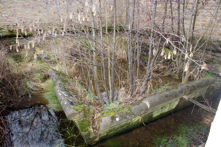 Chânes