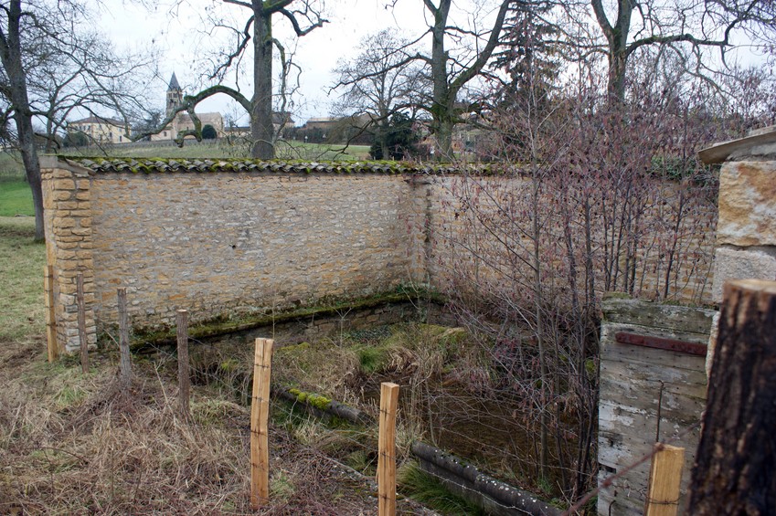 Chânes