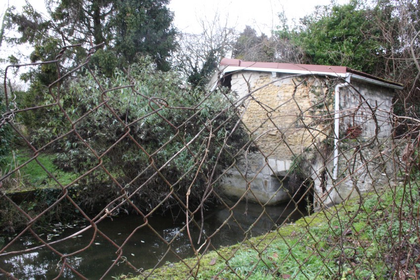 Brenouille