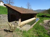 Brussieu
