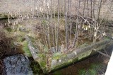 Chânes