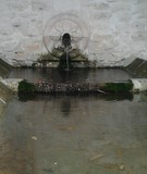 Bury