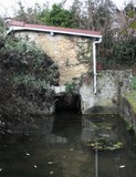 Brenouille