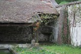 Courcelles-les-Gisors