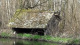 Fontaine-Chaalis