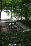 Montjavoult
