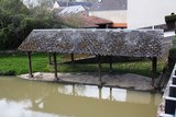 Orbigny